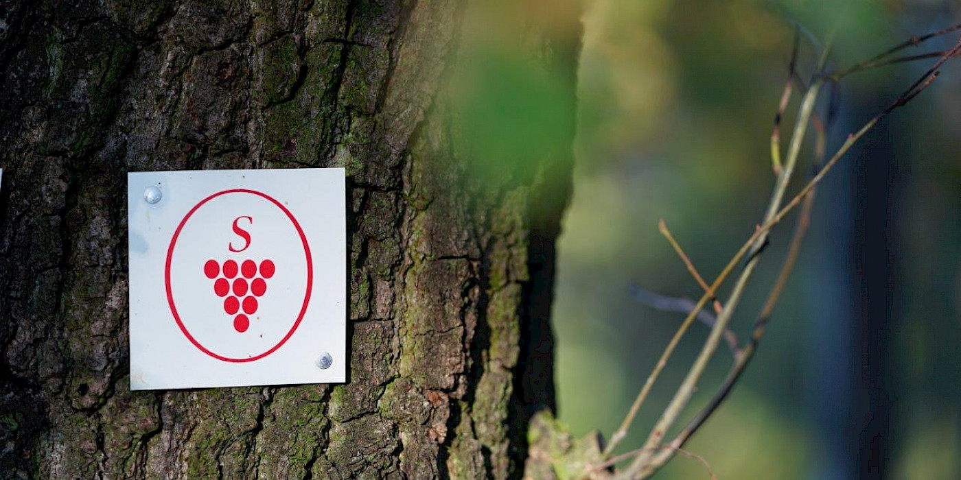 Wegweiser "Weinwanderweg" © Michael Corso Weinwanderweg