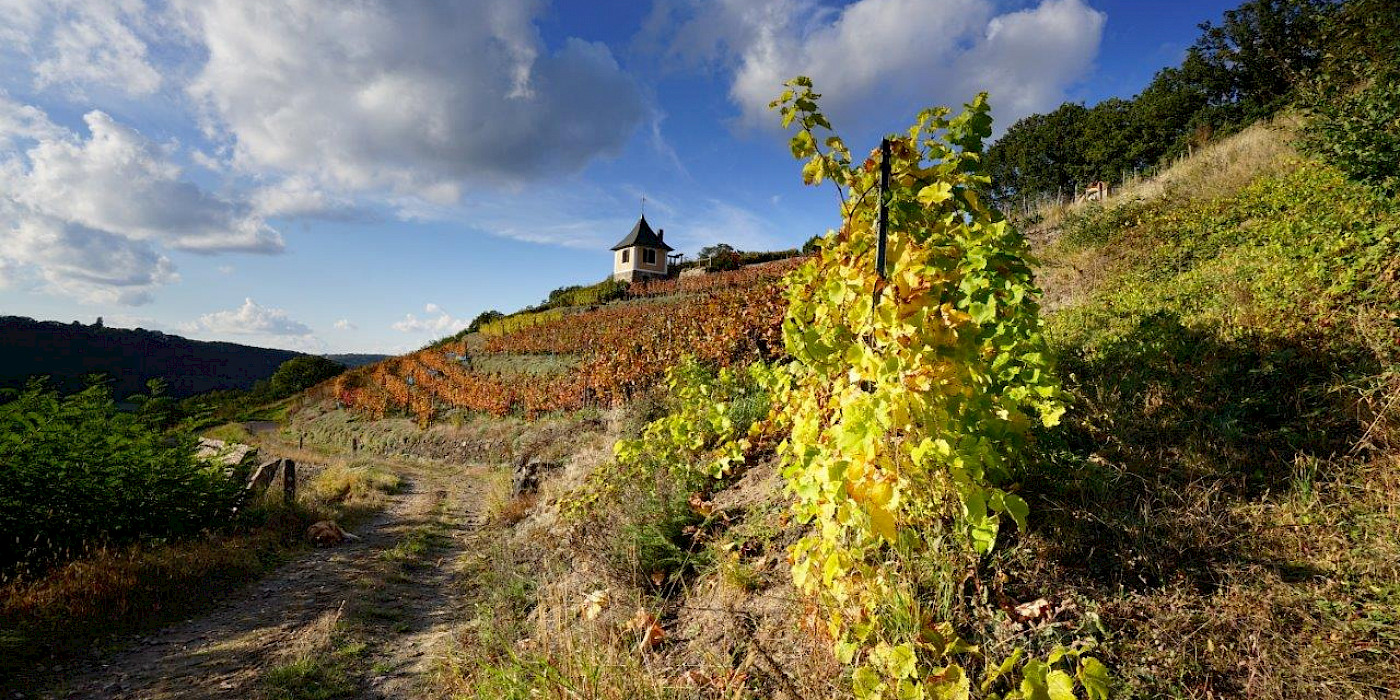 Weinbergshaus "Schwalbennest" im Spaargebirge © Michael Corso Spaargebirge
